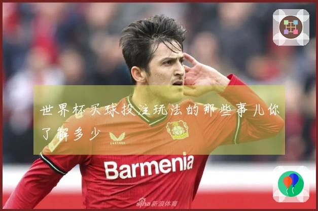 世界杯买球投注玩法的那些事儿你了解多少