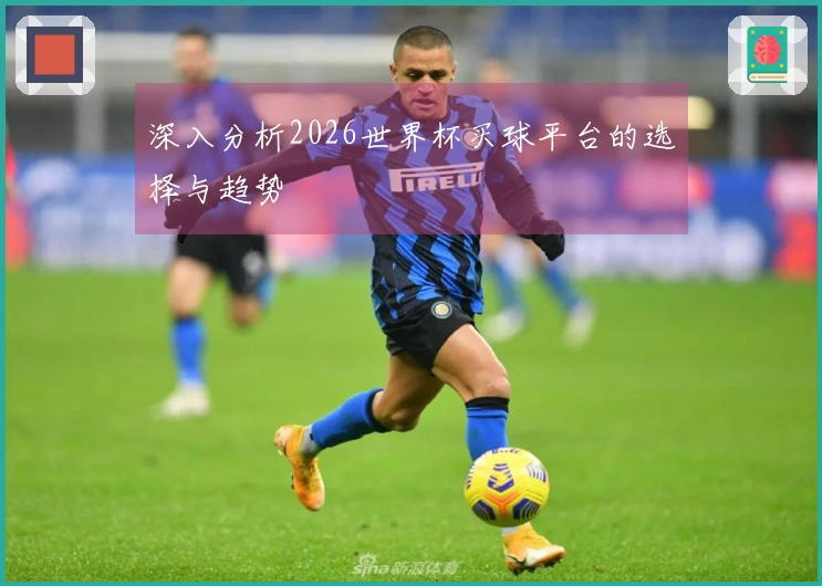 深入分析2026世界杯买球平台的选择与趋势