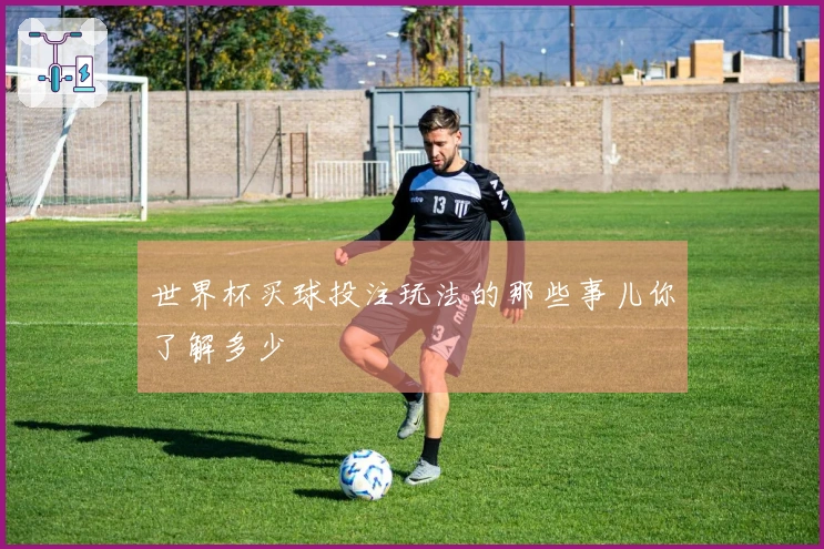 世界杯买球投注玩法的那些事儿你了解多少