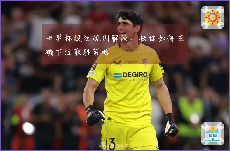 世界杯投注规则解读，教你如何正确下注取胜策略