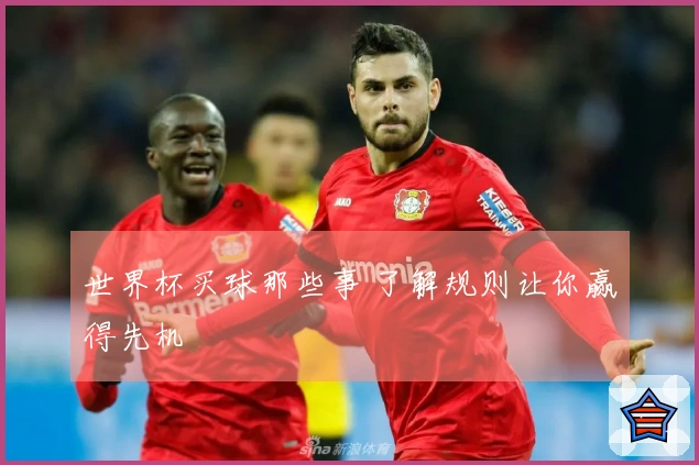 世界杯买球那些事 了解规则让你赢得先机