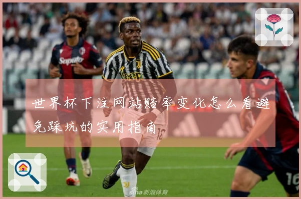 世界杯下注网站赔率变化怎么看避免踩坑的实用指南