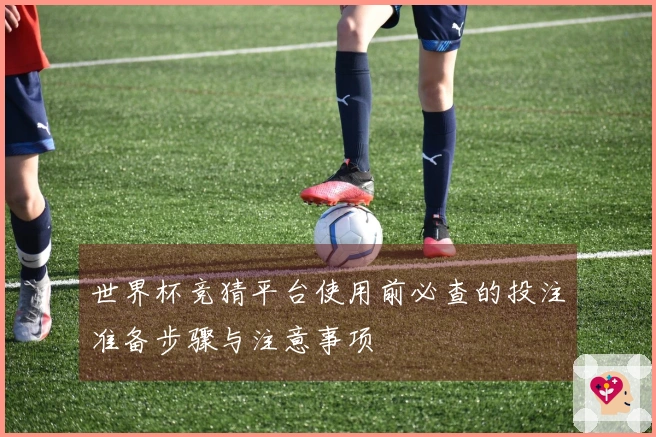 世界杯竞猜平台使用前必查的投注准备步骤与注意事项