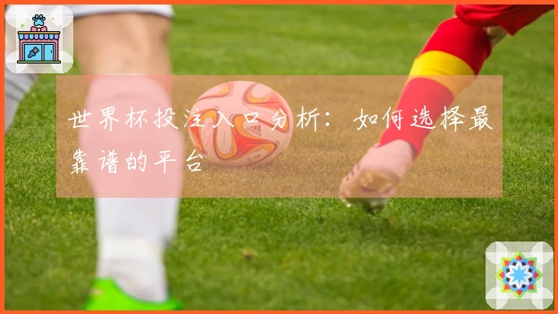 世界杯投注入口分析：如何选择最靠谱的平台