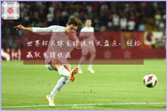 世界杯买球竞猜技巧大盘点，轻松赢取竞猜收益