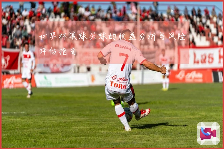 世界杯滚球买球的收益分析与风险评估指南