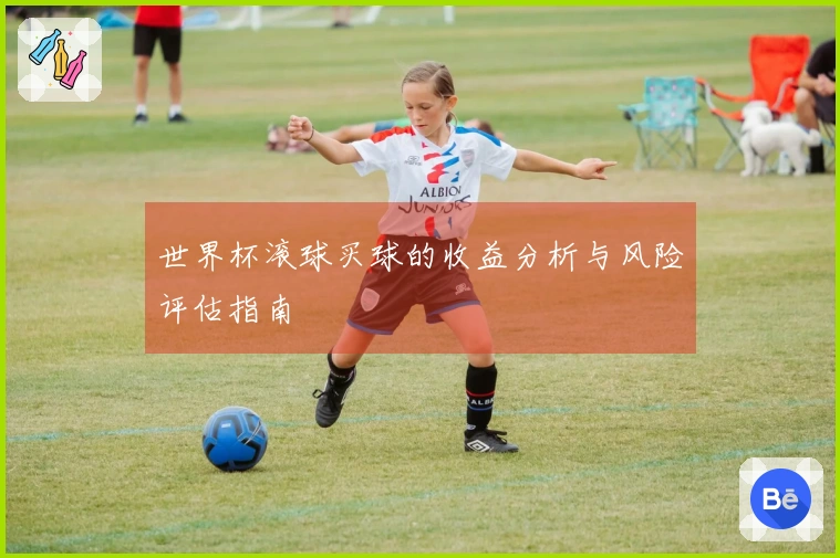 世界杯滚球买球的收益分析与风险评估指南