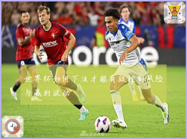 世界杯如何下注才能有效控制风险与赢利波动