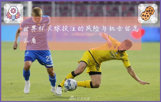 世界杯买球投注的风险与机会你怎么看