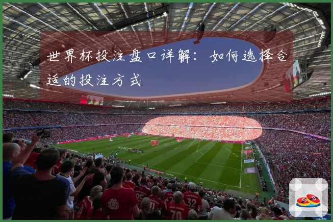 世界杯投注盘口详解：如何选择合适的投注方式