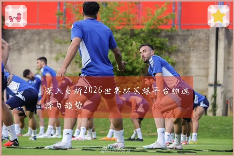 深入分析2026世界杯买球平台的选择与趋势