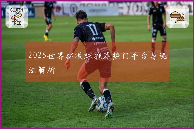 2026世界杯滚球推荐热门平台与玩法解析