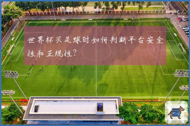 世界杯买足球时如何判断平台安全性和正规性？