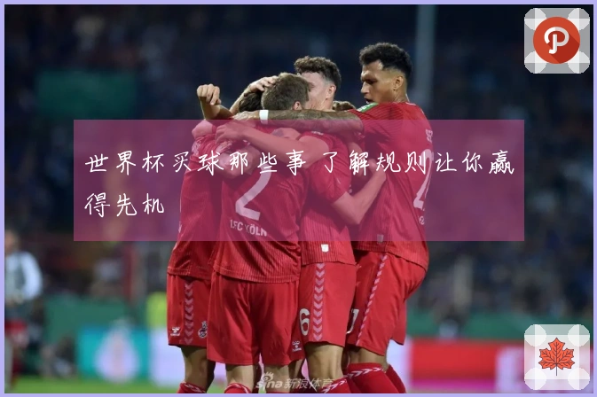 世界杯买球那些事 了解规则让你赢得先机