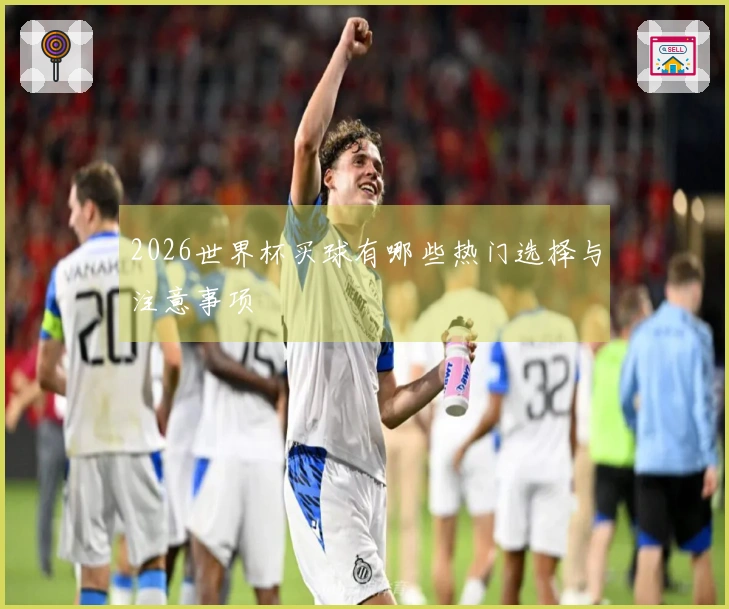 2026世界杯买球有哪些热门选择与注意事项