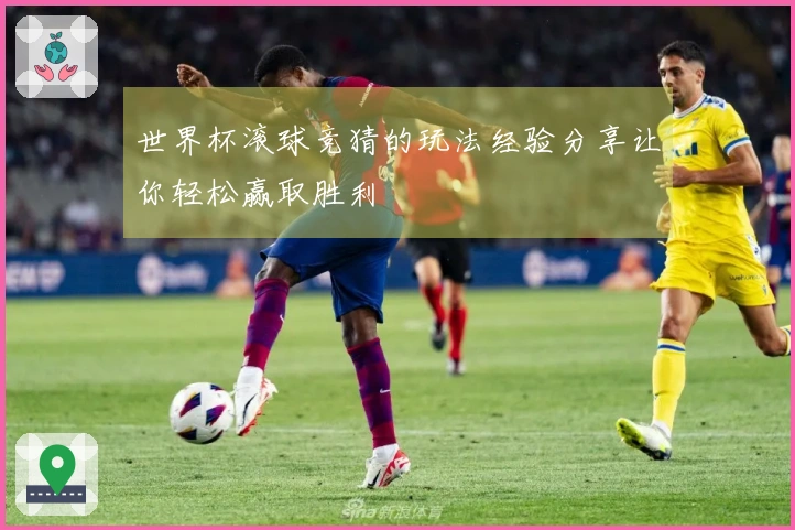 世界杯滚球竞猜的玩法经验分享让你轻松赢取胜利