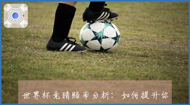 世界杯竞猜赔率分析：如何提升你的预测准确率