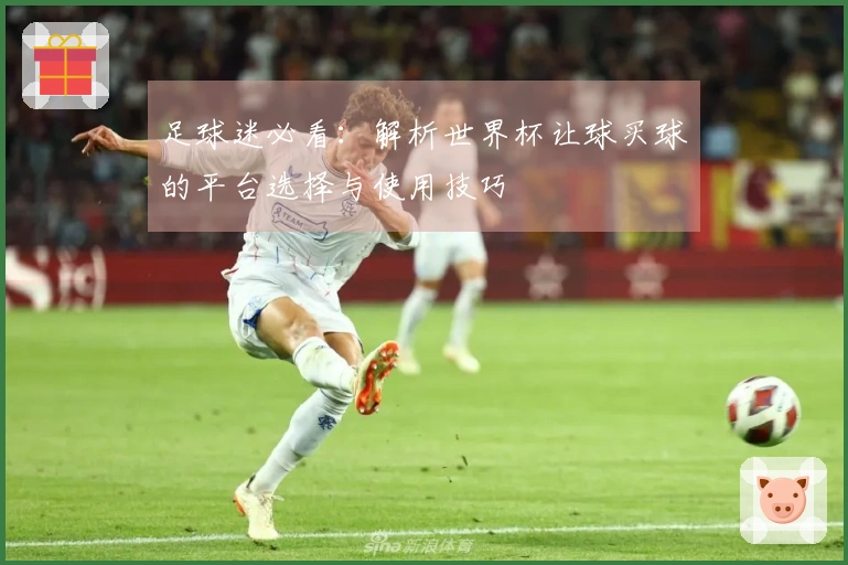 足球迷必看：解析世界杯让球买球的平台选择与使用技巧