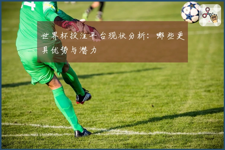 世界杯投注平台现状分析：哪些更具优势与潜力