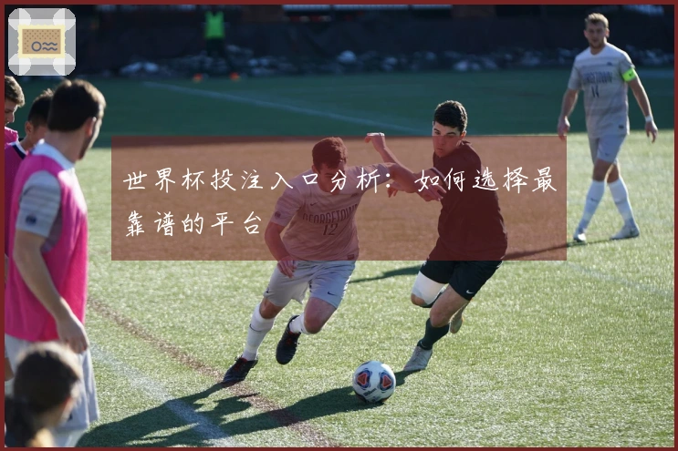 世界杯投注入口分析：如何选择最靠谱的平台
