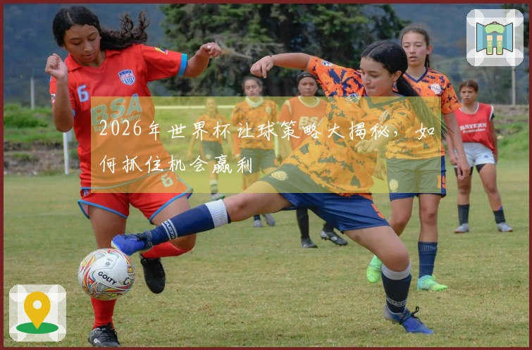 2026年世界杯让球策略大揭秘，如何抓住机会赢利