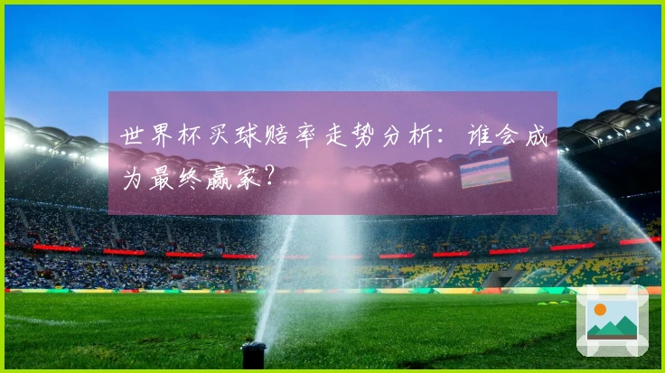 世界杯买球赔率走势分析：谁会成为最终赢家？