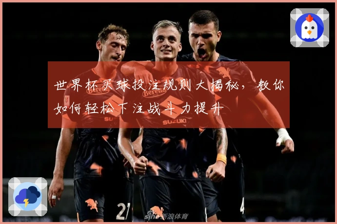 世界杯买球投注规则大揭秘，教你如何轻松下注战斗力提升