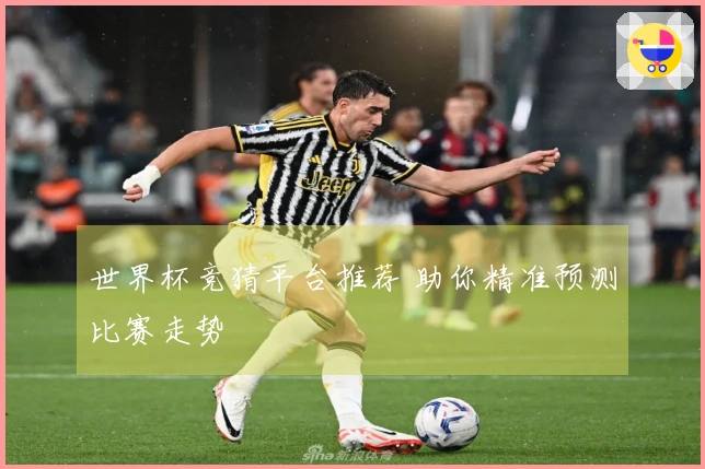 世界杯竞猜平台推荐 助你精准预测比赛走势