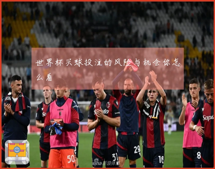 世界杯买球投注的风险与机会你怎么看
