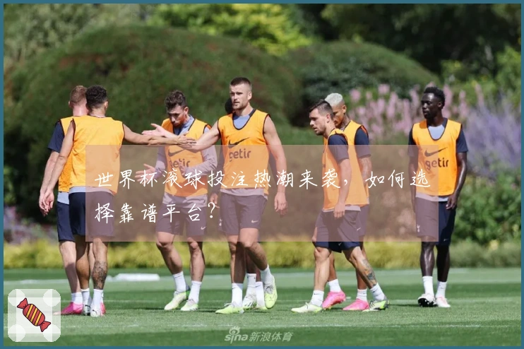 世界杯滚球投注热潮来袭，如何选择靠谱平台？