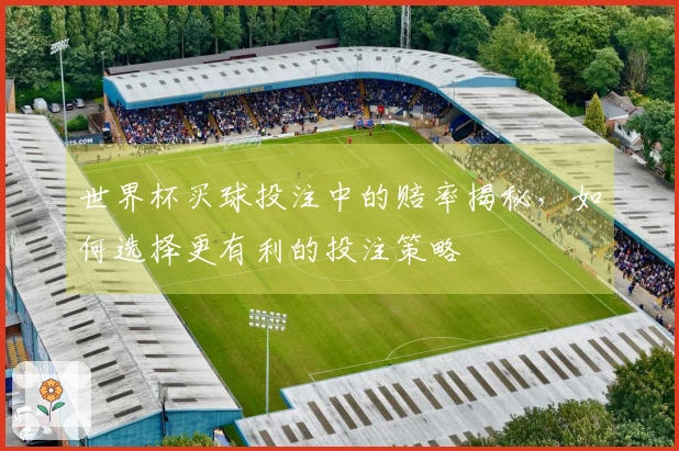 世界杯买球投注中的赔率揭秘，如何选择更有利的投注策略