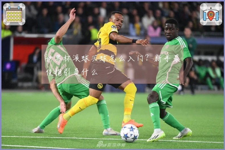 世界杯滚球买球怎么入门？新手最佳指引是什么