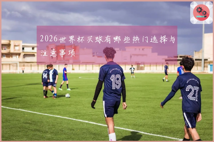 2026世界杯买球有哪些热门选择与注意事项
