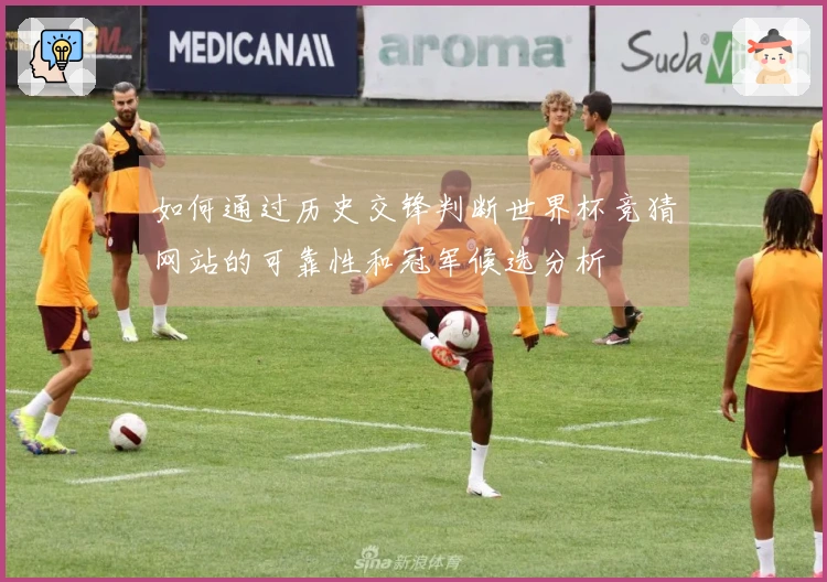 如何通过历史交锋判断世界杯竞猜网站的可靠性和冠军候选分析