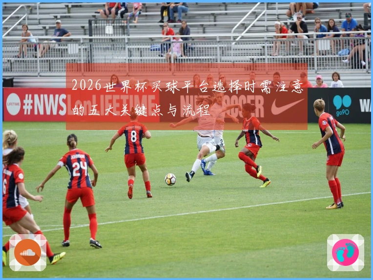 2026世界杯买球平台选择时需注意的五大关键点与流程