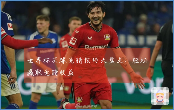 世界杯买球竞猜技巧大盘点，轻松赢取竞猜收益